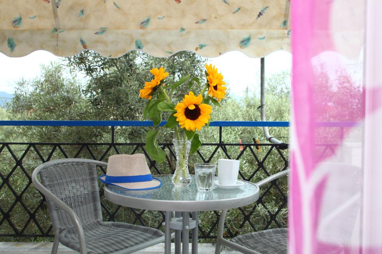 The Filoxenia Apartments, Nikiana Extérieur photo